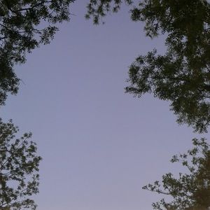 Meet your Posher, Django